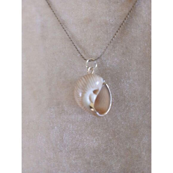 Delicate Natural Seashell 18" Pendant Necklace Beach Ocean Jewelry Gift Coastal - Picture 5 of 6